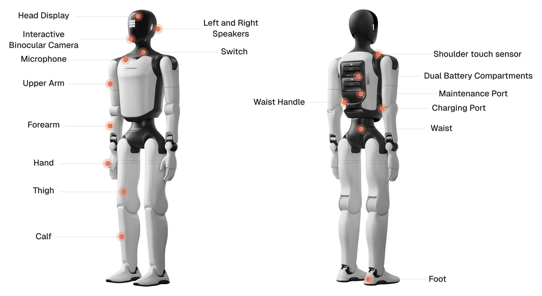 Front and rear views of the Mangobot A3 with components labelled: head display, interactive binocular camera, microphone, left and right speakers, switch, upper arm, forearm, hand, thigh, calf, foot, shoulder touch sensor, dual battery compartments, maintenance port, charging port, waist and waist handle.