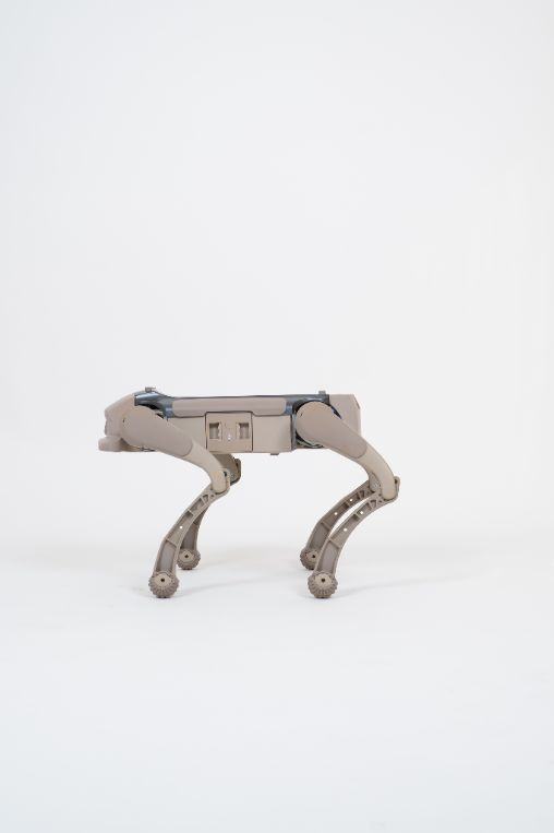 Mangobot D1 Ultra quadruped robot standing in a studio