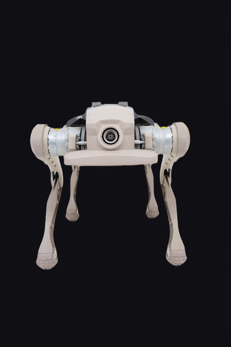 Mangobot D1 Ultra quadruped robot seen from the front